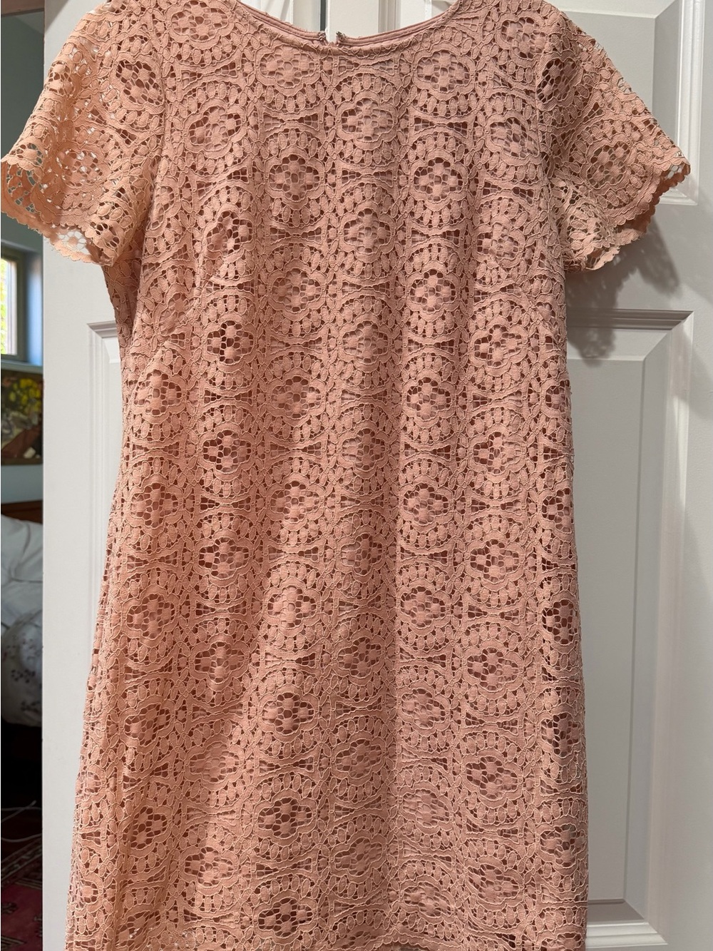 Ann Taylor Peach Lace Shift Dress